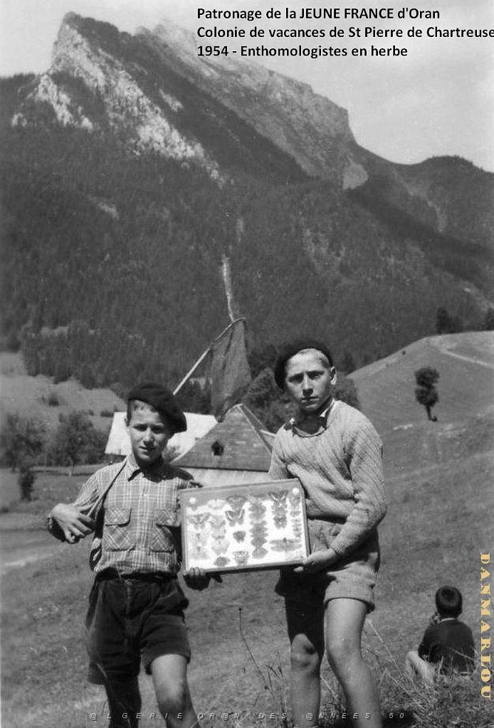COLO JEUNE FRANCE 1954 enthomologistes en herbe .jpg